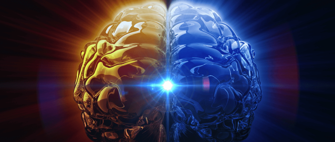 brain